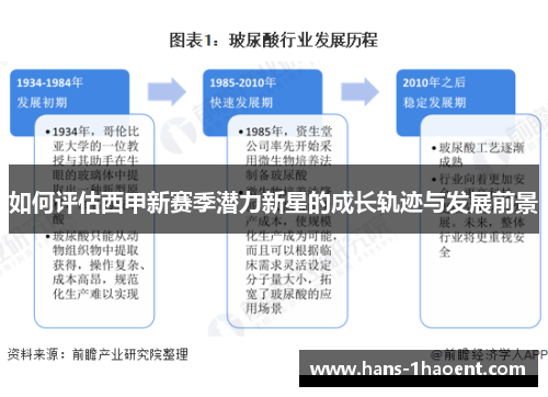 如何评估西甲新赛季潜力新星的成长轨迹与发展前景