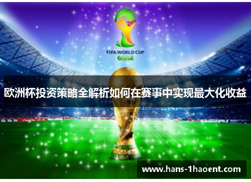 欧洲杯投资策略全解析如何在赛事中实现最大化收益