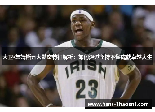大卫·詹姆斯五大勤奋特征解析：如何通过坚持不懈成就卓越人生