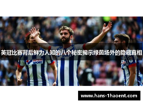 英冠比赛背后鲜为人知的八个秘密揭示绿茵场外的隐藏真相